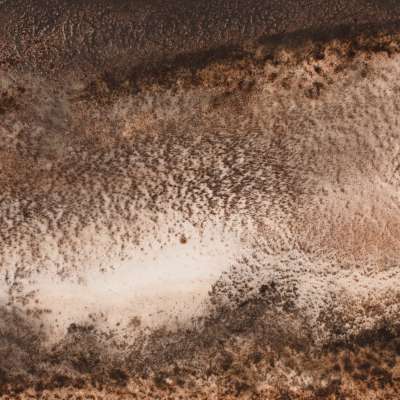 Sand Storm